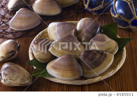 日本の郷土料理　東海地方 6585011