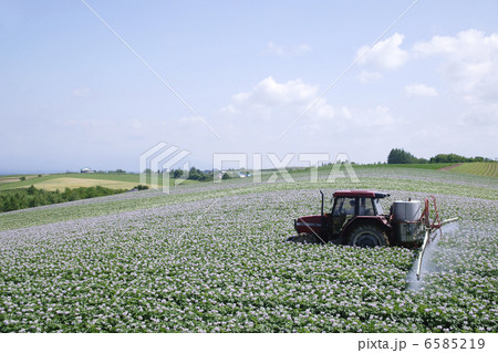北海道・酪農・農業風景 北海道・酪農・農業風景 6585219