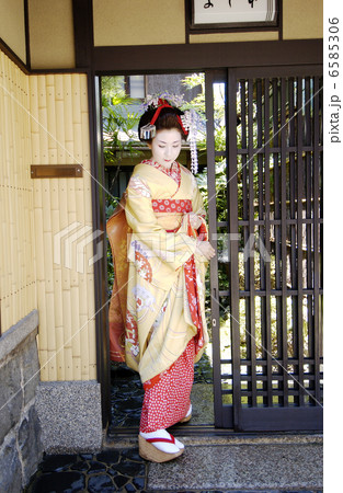 京・舞妓 6585306