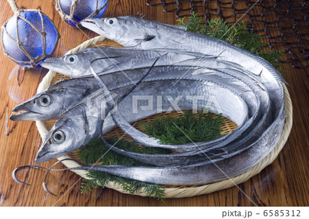 鮮魚百選２ 6585312