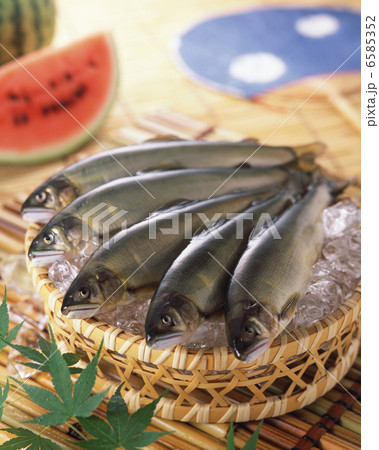 夏の料理 6585352