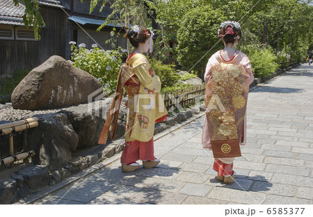 京・舞妓 6585377