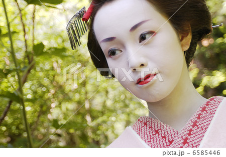 京・舞妓 6585446