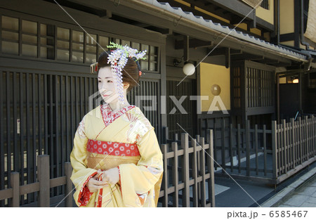 京・舞妓 6585467