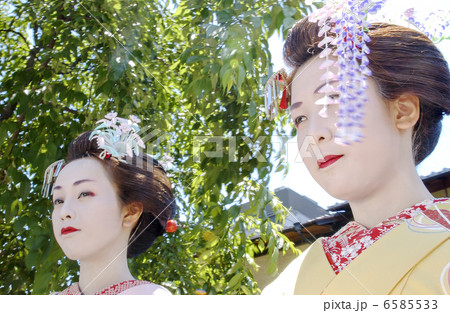 京・舞妓 6585533