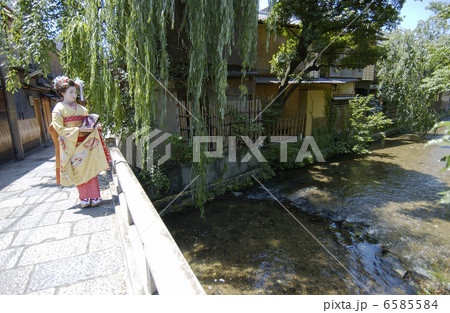 京・舞妓 6585584