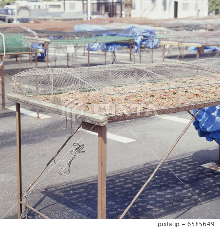 食の産業　漁業編 6585649