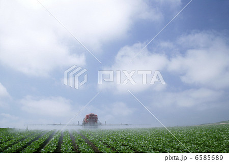 北海道・酪農・農業風景 北海道・酪農・農業風景 6585689