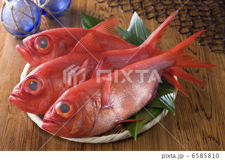 鮮魚百選２ 6585810