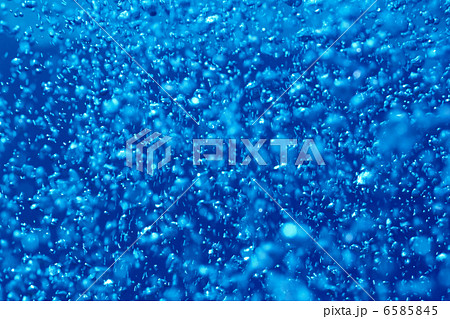 海中世界 海中世界 6585845