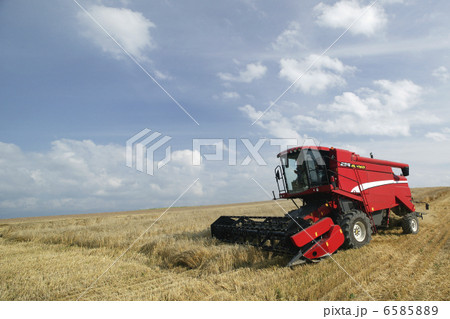 北海道・酪農・農業風景 6585889
