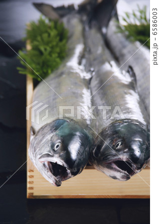 冬の食材 冬の食材 6586003