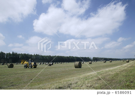 北海道・酪農・農業風景 6586091