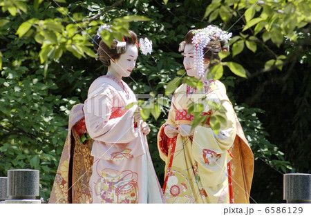 京・舞妓 6586129