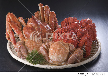 冬の食材 6586277