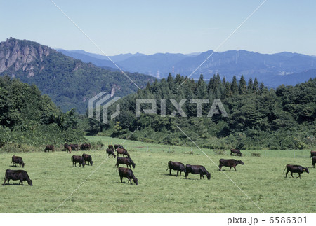 食の産業　農業編 6586301