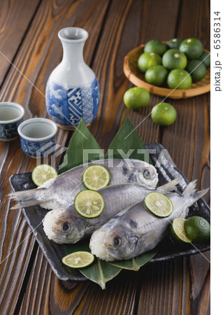 日本の郷土料理 四国地方 6586314