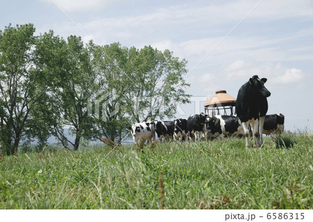北海道・酪農・農業風景 6586315