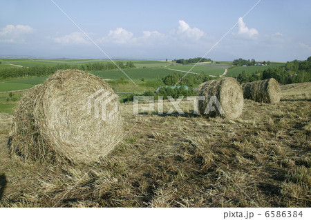 北海道・酪農・農業風景 北海道・酪農・農業風景 6586384