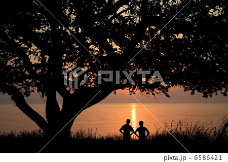 シルエット 6586421