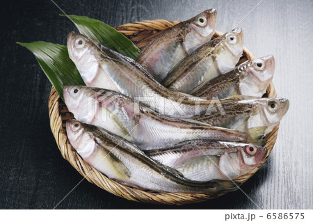 冬の食材 6586575