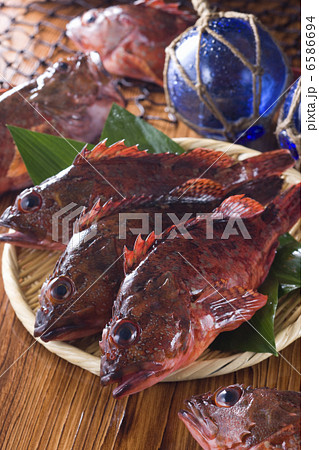 鮮魚百選2 鮮魚百選2 6586694