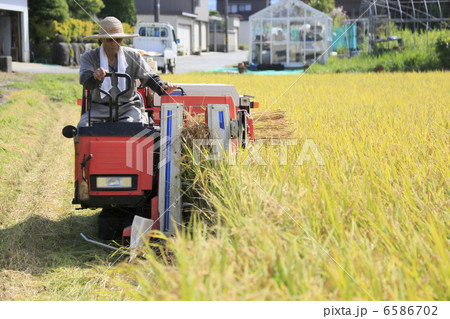 米作り 米作り 6586702