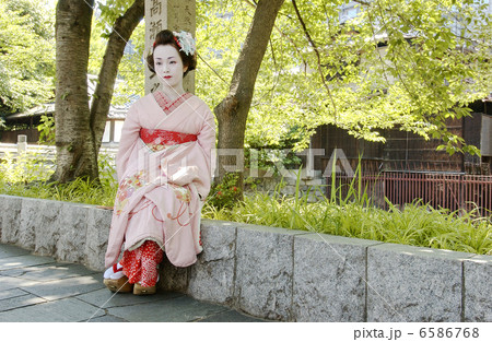 京・舞妓 6586768