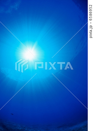 海中世界 6586952