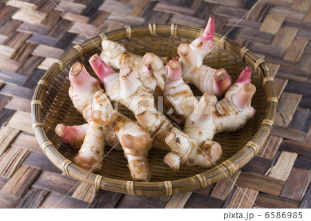 エスニック料理と食材 エスニック料理と食材 6586985