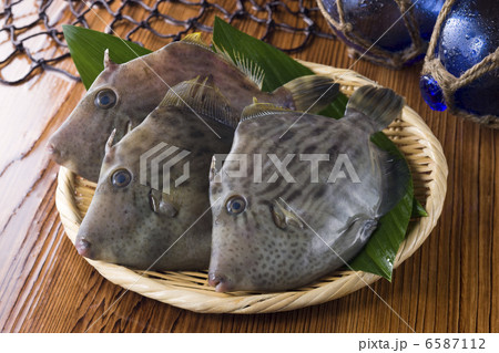 鮮魚百選2 鮮魚百選2 6587112