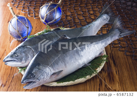 鮮魚百選2 鮮魚百選2 6587132
