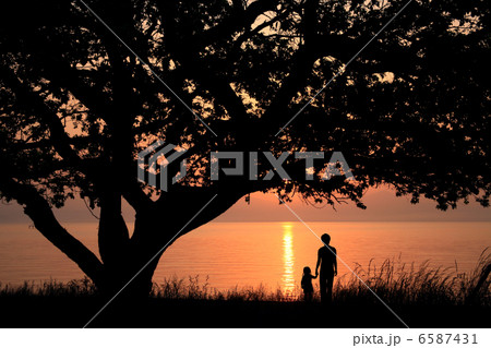 シルエット シルエット 6587431