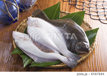 鮮魚百選２ 6587684