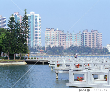 台湾美麗 6587935