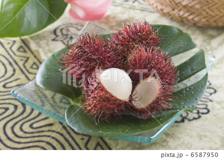 エスニック料理と食材 6587950