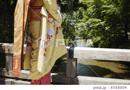 京・舞妓 6588004