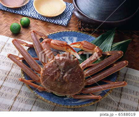 春の料理１ 6588019