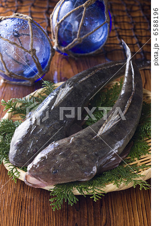 鮮魚百選２ 6588196