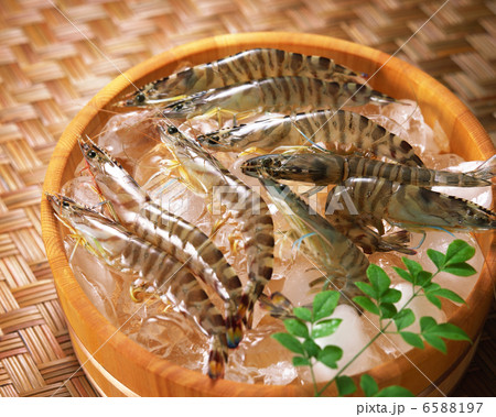 寿司・刺身・魚料理 6588197