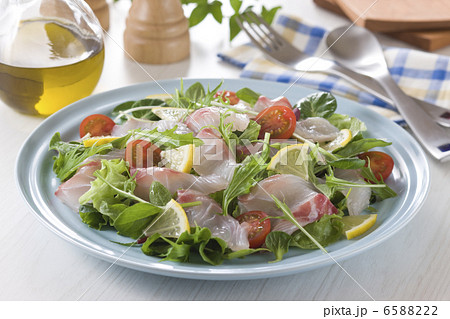 魚料理と切身 6588222