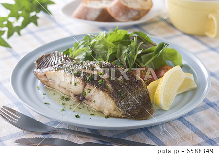 魚料理と切身 6588349