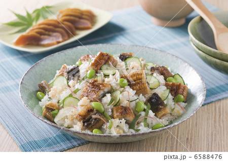 魚料理と切身 6588476