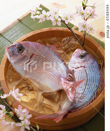 春の料理２ 6588494