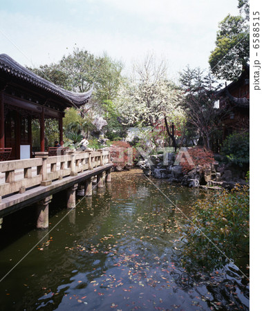 上海２１世紀 6588515