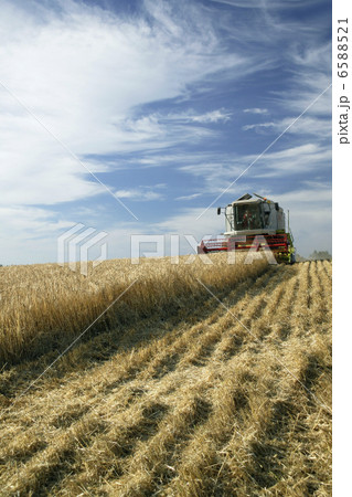北海道・酪農・農業風景 6588521