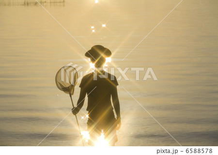 シルエット 6588578