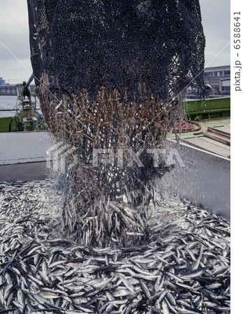 食の産業　漁業編 6588641