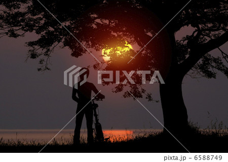 シルエット 6588749