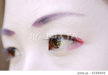 京・舞妓 6588809